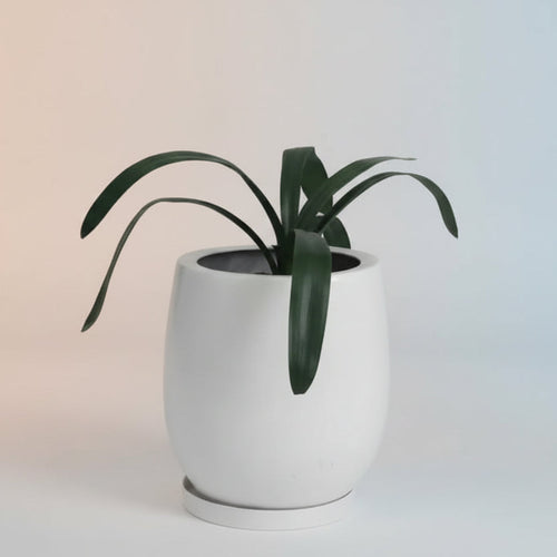 Chic Planter Height 37cm