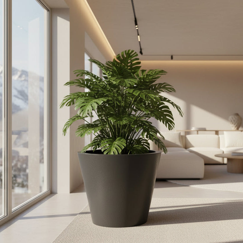 Living Room Conical Shaped Planter