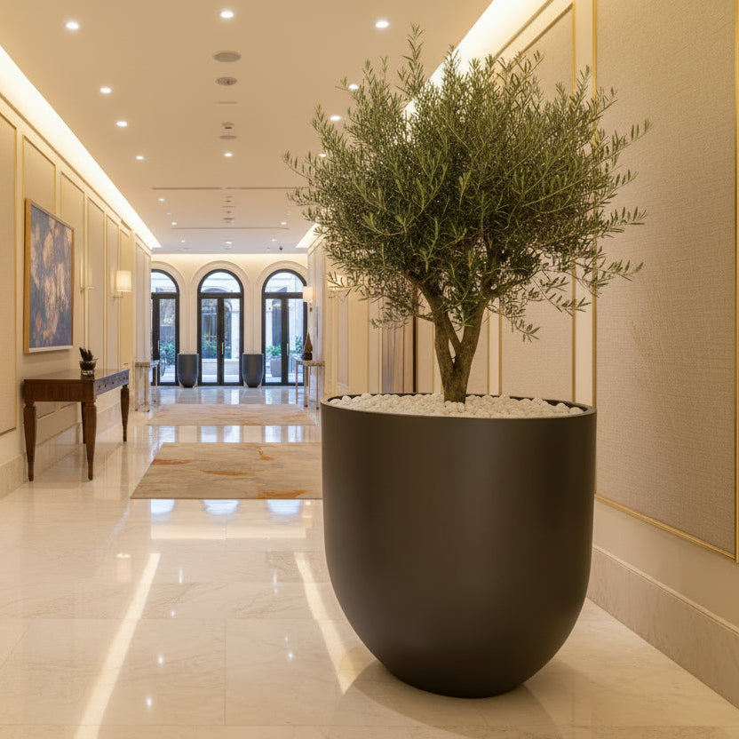 Rounded Bottom Planter